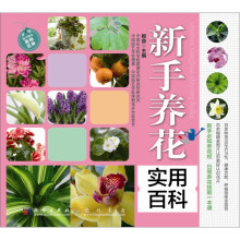 新手养花实用百科