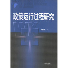 政策运行过程研究