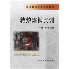 转炉炼钢实训