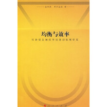 均衡与效率：可持续发展的市场激励机制研究