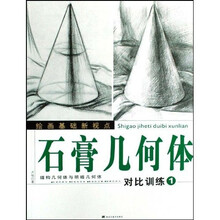 绘画基础新视点·石膏几何体对比训练1：结构几何体与明暗几何体
