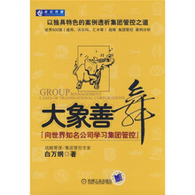 大象善舞:向世界知名公司学习集团管控