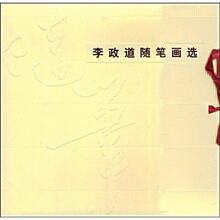 李政道随笔画选