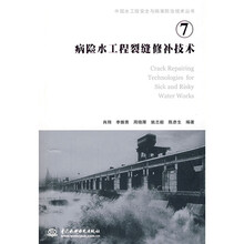 病险水工程裂缝修补技术