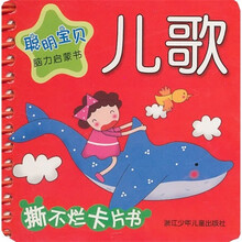 聪明宝贝脑力启蒙书：儿歌
