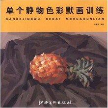 单个静物色彩默画训练