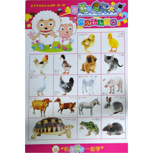 喜羊羊与灰太狼：常见动物乐园·海洋动物世界
