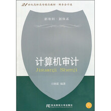 21世纪高职高专精品教材·财务会计类：计算机审计（附光盘）