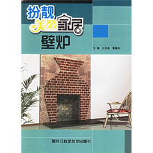 扮靓美丽家居:壁炉