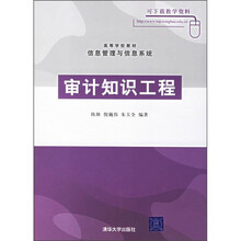 高等学校教材·信息管理与信息系统:审计知识工程