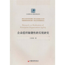 企业组织敏捷性的实现研究