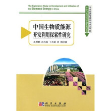 中国生物质能源开发利用探索性研究