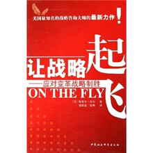 让战略起飞：应对变革战略制胜