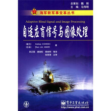 自适应盲信号与图像处理