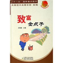 致富金点子（新农村新青年文库）