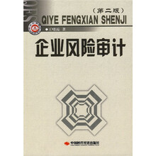 企业风险审计（第2版）