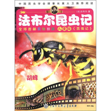 全球首部实物拍摄·法布尔昆虫记：胡蜂（儿童版）
