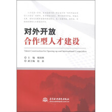 对外开放合作型人才建设