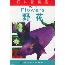 柯林斯精品：野花