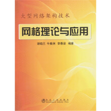 网格理论与应用：大型网络架构技术