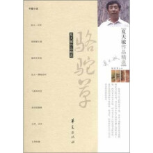 夏天敏作品精选