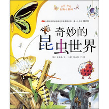 探索发现生物小百科：奇妙的昆虫世界