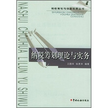 纳税筹划理论与实务/税收筹划与优惠政策丛书