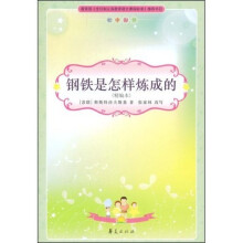 初中生新课标必读：钢铁是怎样炼成的（初中部分）（精编本）
