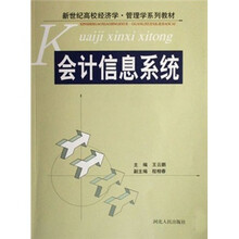 新世纪高校经济学·管理学系列教材：会计信息系统