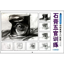 结构素描入门挂图:石膏五官训练(基础篇)
