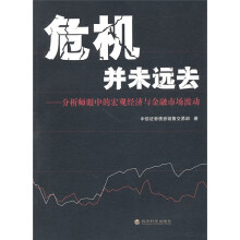 危机并未远去:分析师眼中的宏观经济与金融市场波动