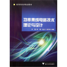 高等院校精品教材：功率集成电路技术理论与设计
