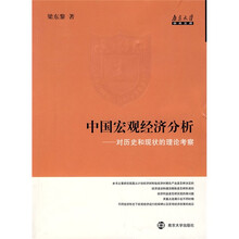 中国宏观经济分析：对历史和现状的理论考察