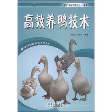 高效养鸭技术