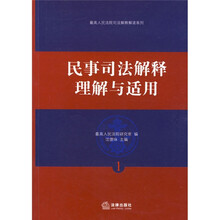 民事司法解释理解与适用