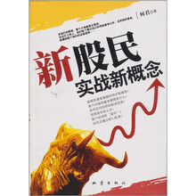 新股民实战新概念