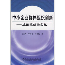 中小企业群体组织创新：虚拟组织的实施