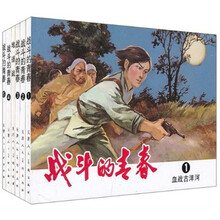 战斗的青春（套装共5册）