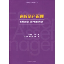 有效资产管理:股票组合优化与资产配置实用指南