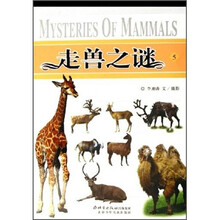 走兽之谜5