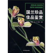 国兰珍品佳品鉴赏