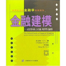 金融建模:应用于资本市场、公司金融、风险管理与金融机构