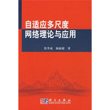 自适应多尺度网络理论与应用