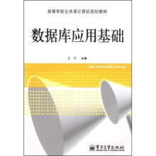 高等学校公共课计算机规划教材：数据库应用基础