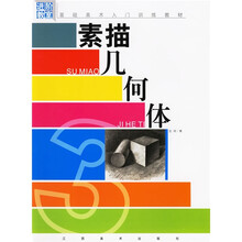 基础美术入门训练教材：素描几何体