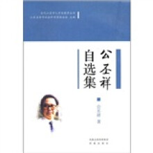 公丕祥自选集