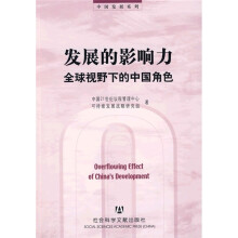 发展的影响力：全球视野下的中国角色