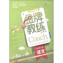 金牌教练:语文(9年级下册)(RJ版)