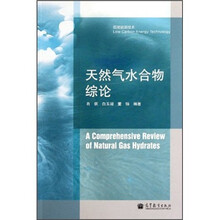 天然气水合物综论
