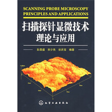 扫描探针显微技术理论与应用